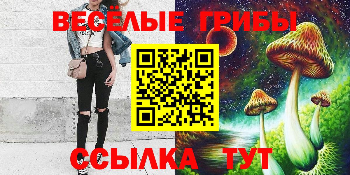 Псилоцибиновые грибы Cubensis  Вход с VPN  Галлюциногенные грибы мицелий  Кашира 